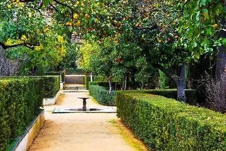 Gocce - Skyline Views In The Heart Of 아파트 *